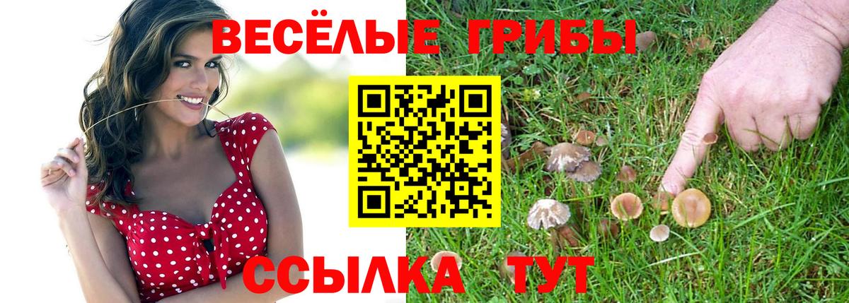 Галлюциногенные грибы ЛСД Кувандык